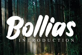Bollias: A Refined Script Handwritten Typeface
