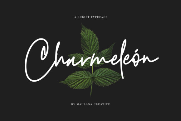 Charmeleon Font for Elegant Campaign Design