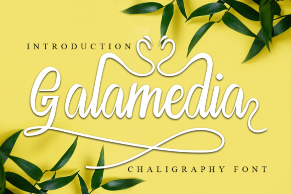 Galamedia: The Script Handwritten Font for Marketers