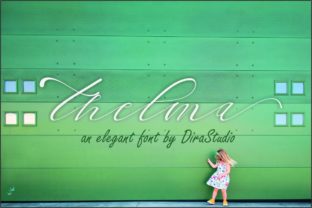 Thelma Font: Elevating Campaign Visuals